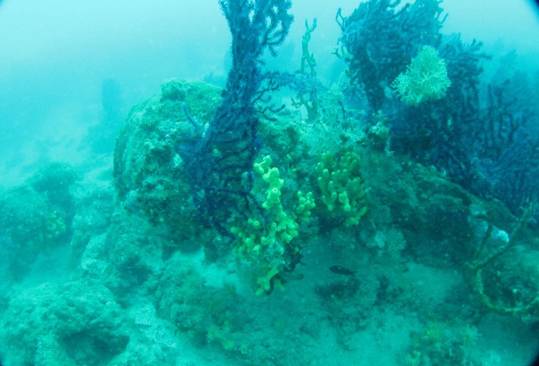 Under vattnet i Adriatiska havet