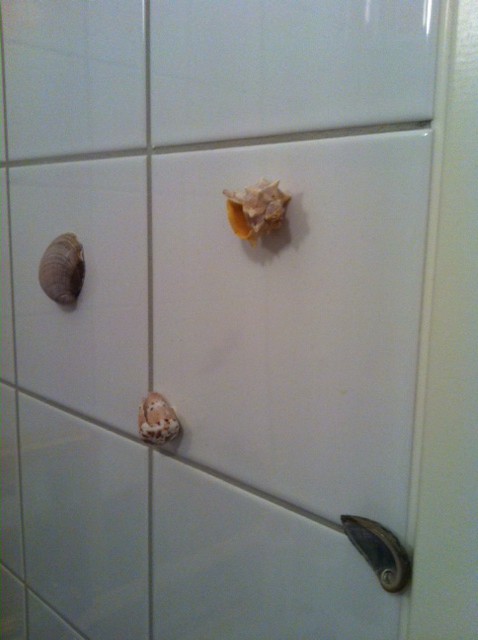 snäckor på väggen i badrummet